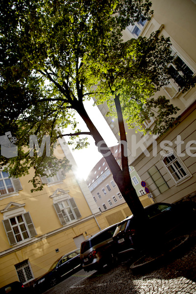 Altarweihe Welsche Kirche Segnung -3639