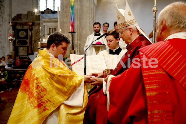 Foto Neuhold Priesterweihe-1137