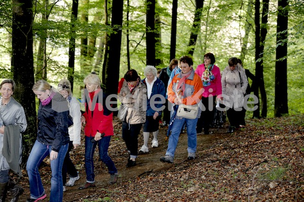 Frauenpilgerweg in Seggauberg-5280