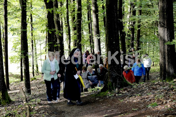 Frauenpilgerweg in Seggauberg-5292