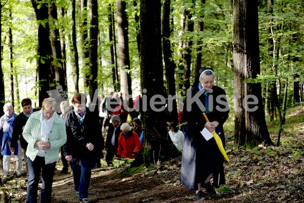 Frauenpilgerweg in Seggauberg-5295