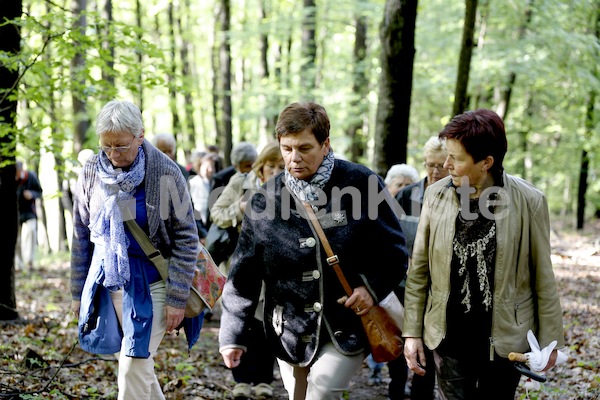 Frauenpilgerweg in Seggauberg-5308