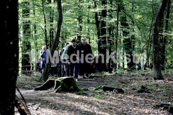 Frauenpilgerweg in Seggauberg-5314