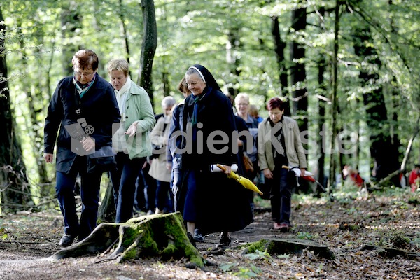 Frauenpilgerweg in Seggauberg-5320