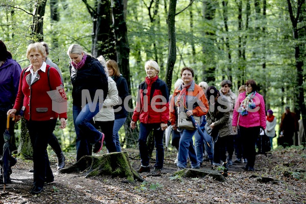 Frauenpilgerweg in Seggauberg-5334