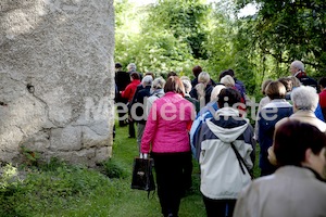 Frauenpilgerweg in Seggauberg-5410