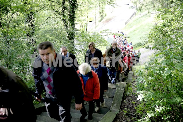 Frauenpilgerweg in Seggauberg-5441