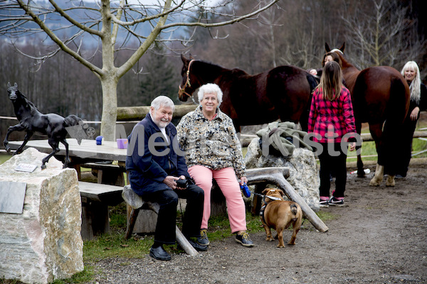 Pferdesegnung am Huehnerberg-7699