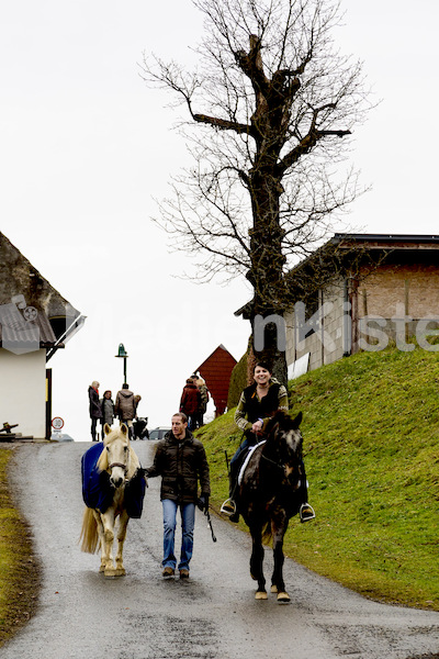 Pferdesegnung am Huehnerberg-7750