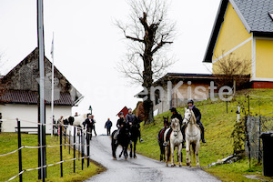 Pferdesegnung am Huehnerberg-7838