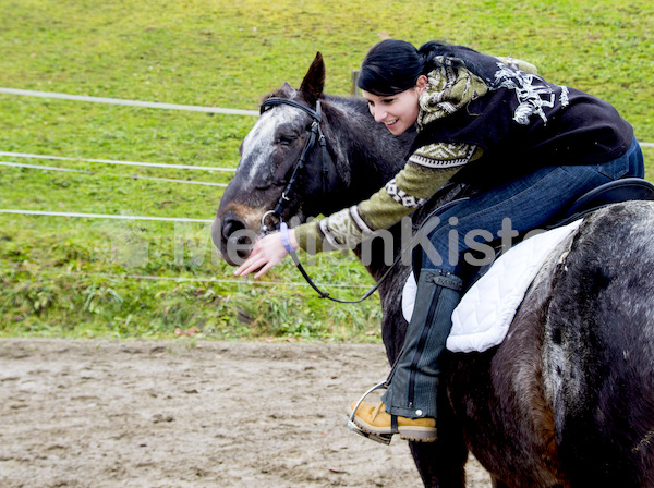 Pferdesegnung am Huehnerberg-7867