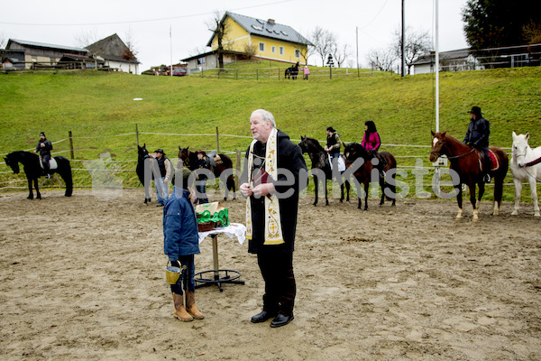 Pferdesegnung am Huehnerberg-7939