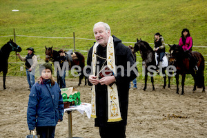 Pferdesegnung am Huehnerberg-7941