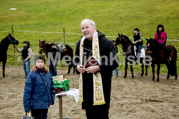 Pferdesegnung am Huehnerberg-7941