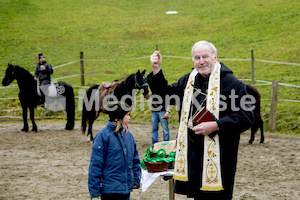 Pferdesegnung am Huehnerberg-7949