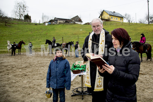 Pferdesegnung am Huehnerberg-7957