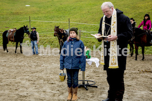 Pferdesegnung am Huehnerberg-7964