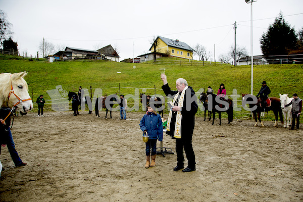 Pferdesegnung am Huehnerberg-7965