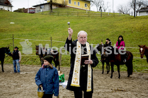 Pferdesegnung am Huehnerberg-7966