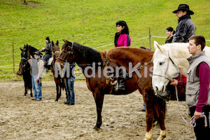 Pferdesegnung am Huehnerberg-7975