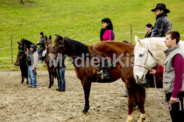 Pferdesegnung am Huehnerberg-7975