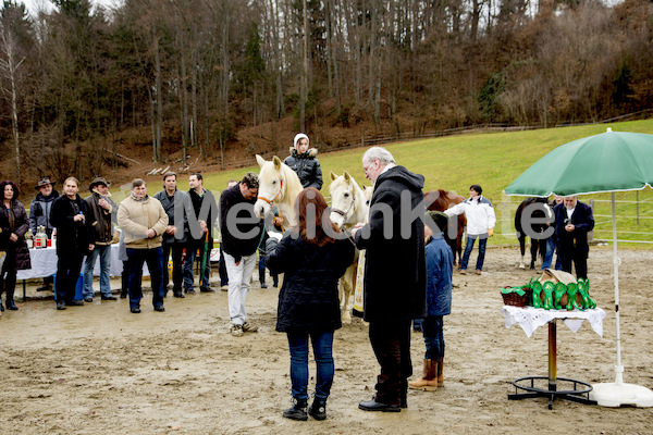 Pferdesegnung am Huehnerberg-7979