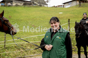 Pferdesegnung am Huehnerberg-7998