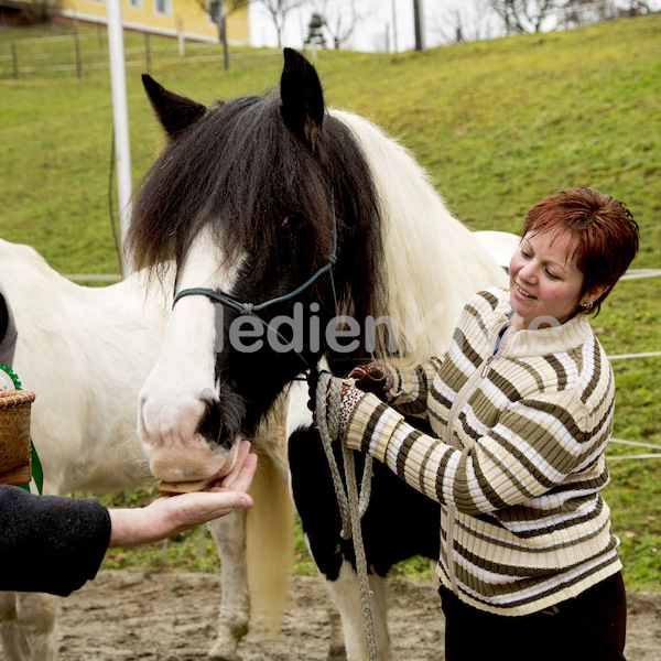 Pferdesegnung am Huehnerberg-8041