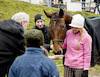 Pferdesegnung am Huehnerberg-8056