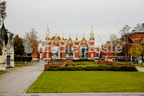 Segnung Zentralfriedhof Eingang-7564