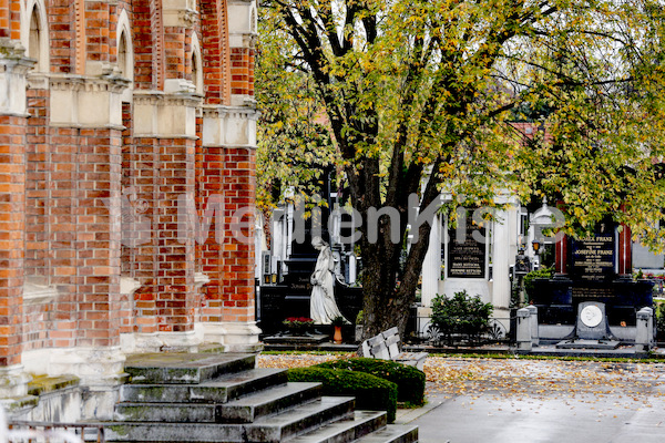 Segnung Zentralfriedhof Eingang-7587